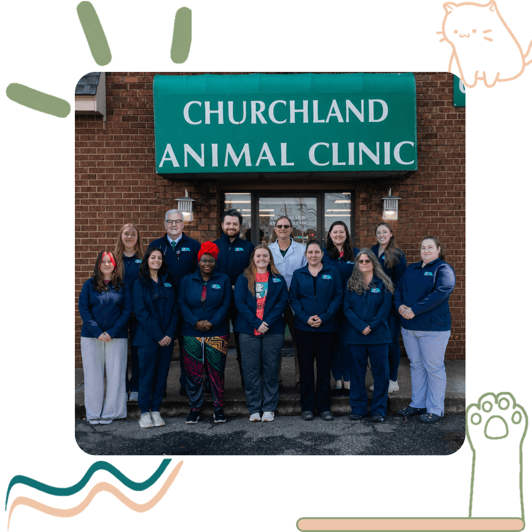 Churchland Animal Clinic team